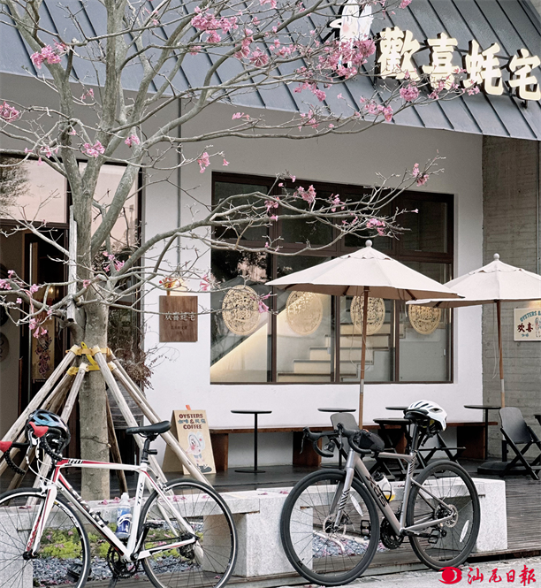 31 (3) - 副本.png 31 (3) - 副本.png